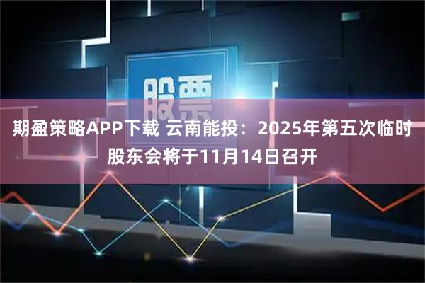 期盈策略APP下载 云南能投：2025年第五次临时股东会将于11月14日召开
