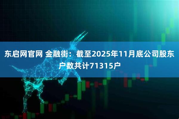 东启网官网 金融街：截至2025年11月底公司股东户数共计71315户
