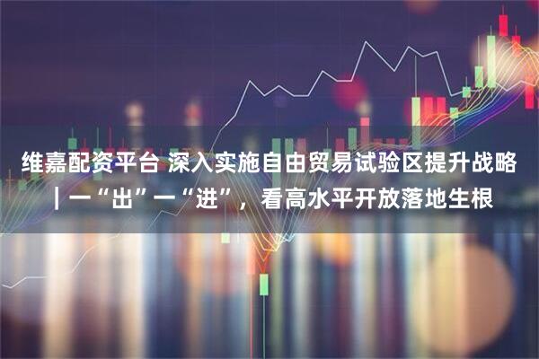 维嘉配资平台 深入实施自由贸易试验区提升战略｜一“出”一“进”，看高水平开放落地生根